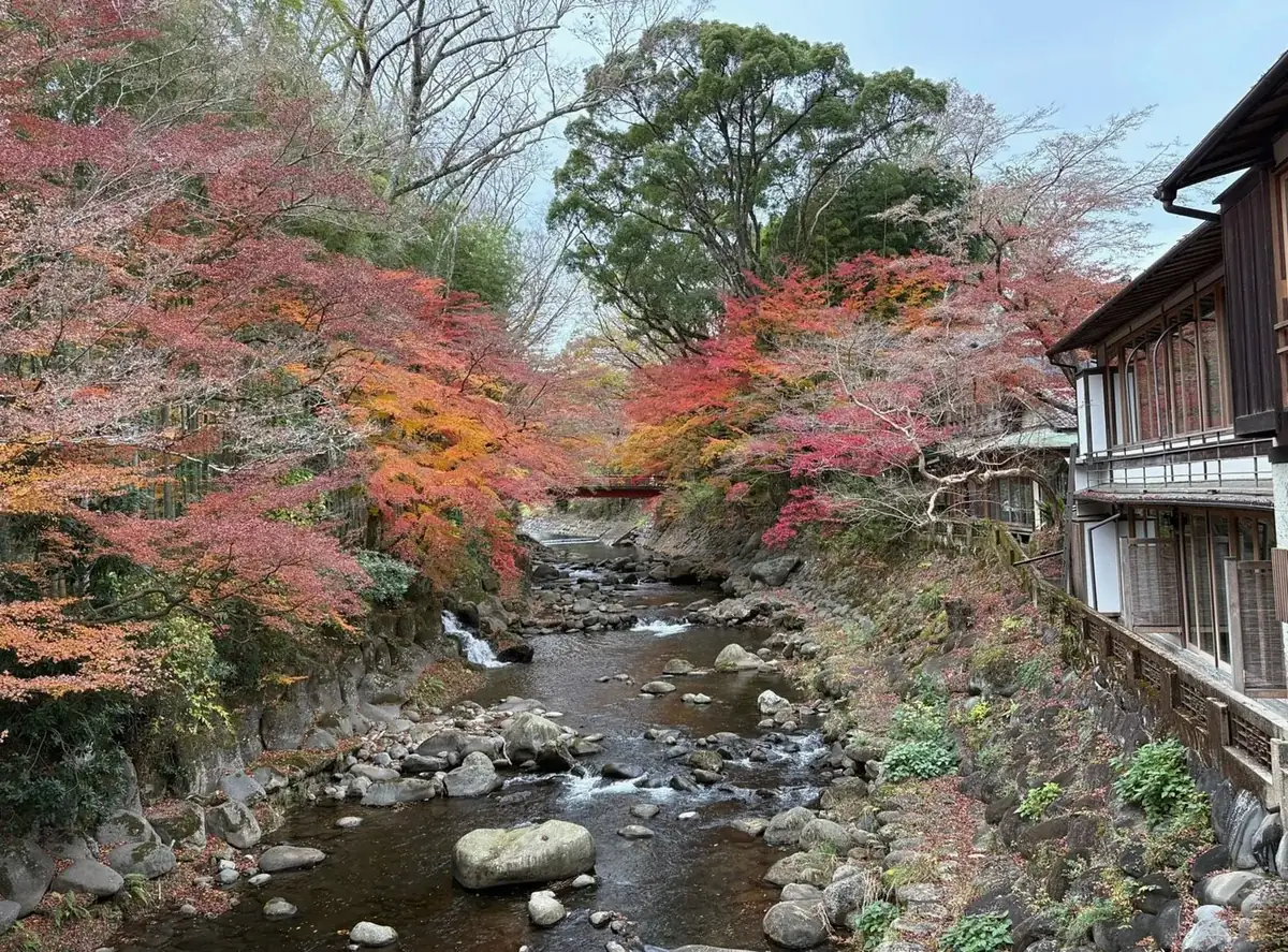 Autumn foliage along a stream beside traditional wooden buildings in Japan